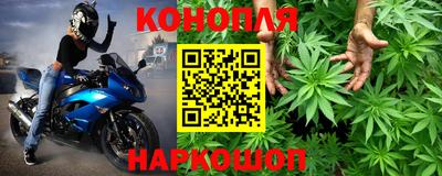 гидропоника Ставрополь