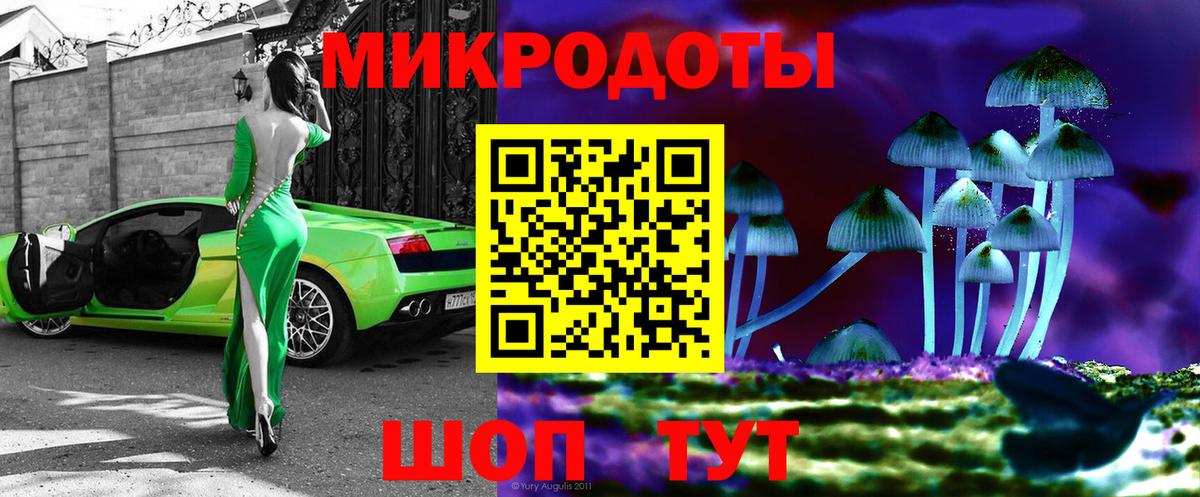 Галлюциногенные грибы Psilocybine cubensis  Вход с VPN  Якутск 